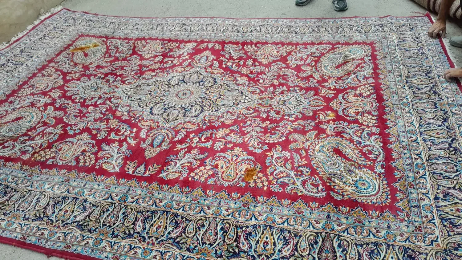 فرش ها تو این سبک و رنگ ها فقط|فرش|بندرعباس, |دیوار