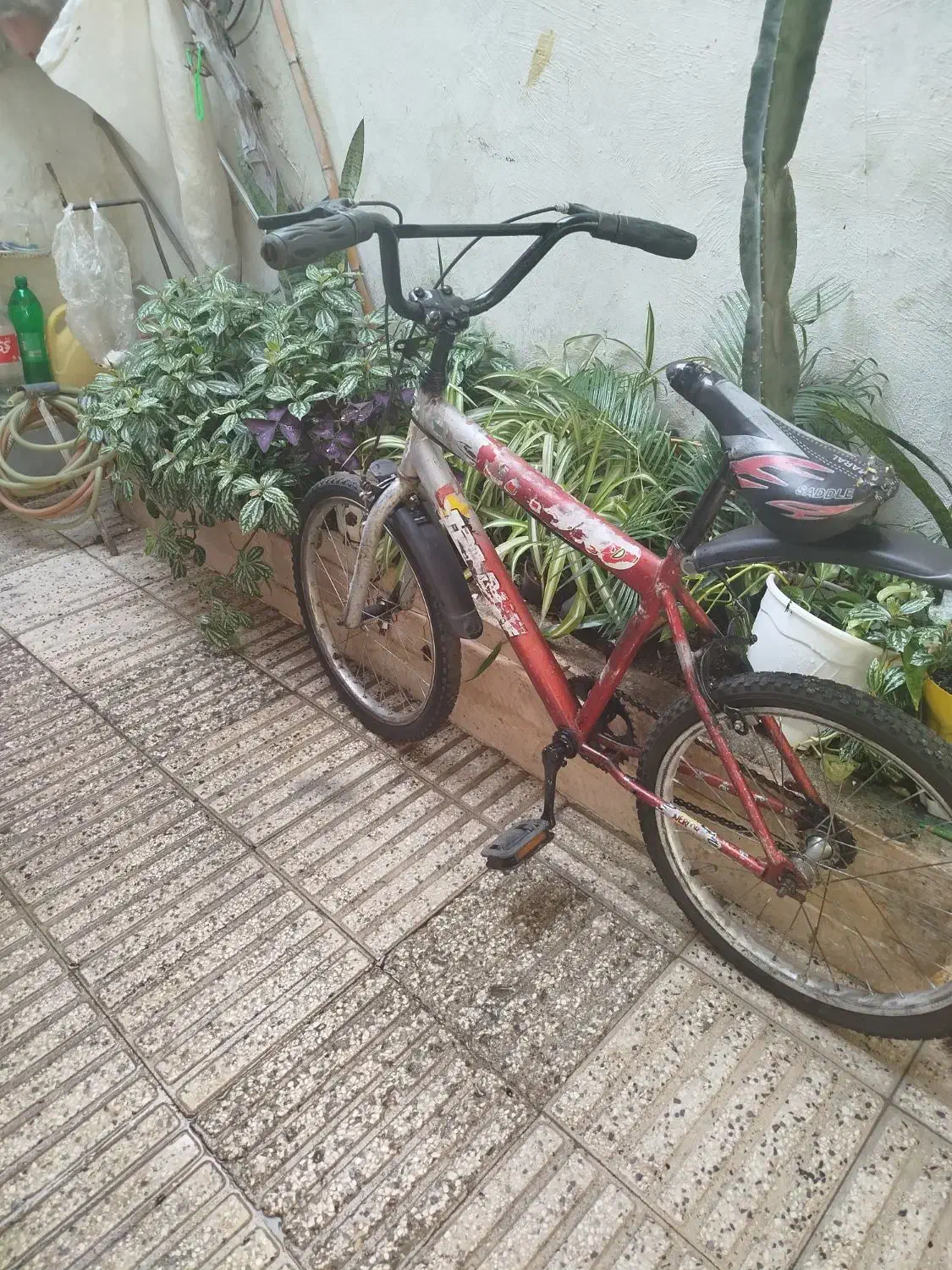 دوچرخه سایز20|دوچرخه، اسکیت، اسکوتر|بابل, |دیوار