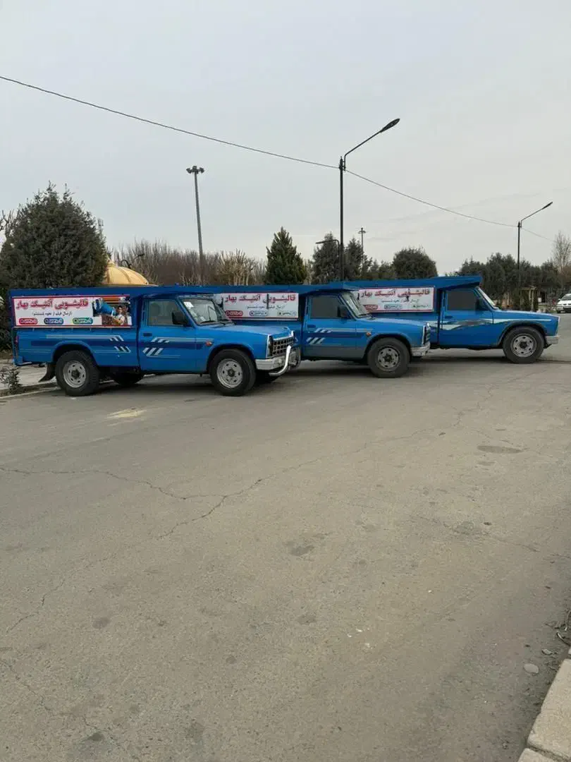 قالیشویی،مبل شویی،رفوگری فرش آنتیک بهار|خدمات نظافت|اسلام‌شهر, شهرک مصطفی خمینی|دیوار