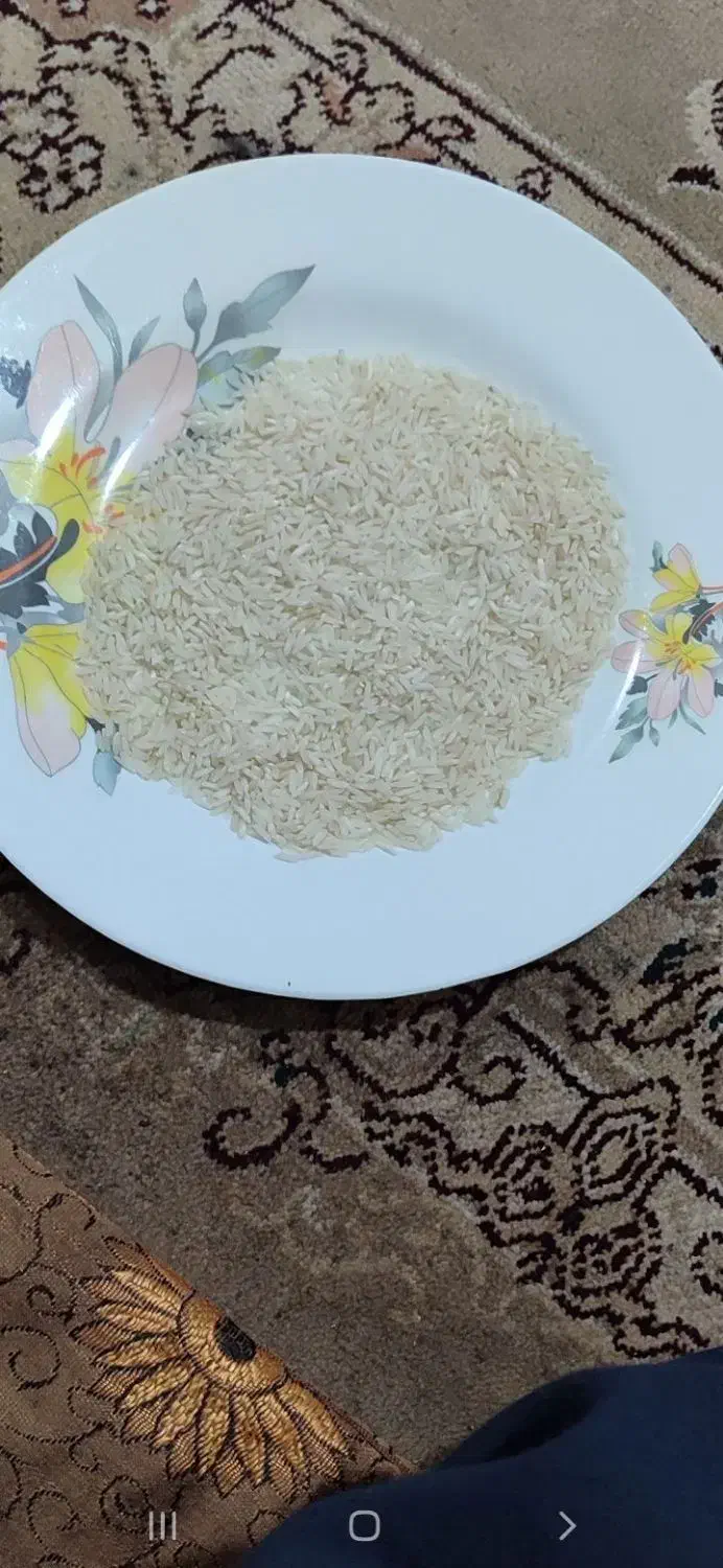 برنج طارم محلی|حراج|گرگان, |دیوار