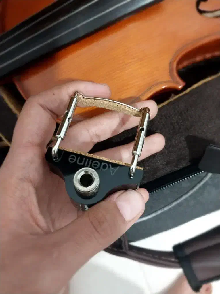 پیکاپ ادلاین ویالون|ویولن|شیراز, ملاصدرا|دیوار