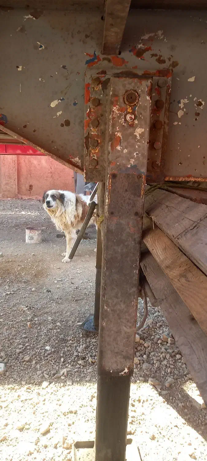 فروش تریلی استریک|خودرو سنگین|تاکستان, |دیوار