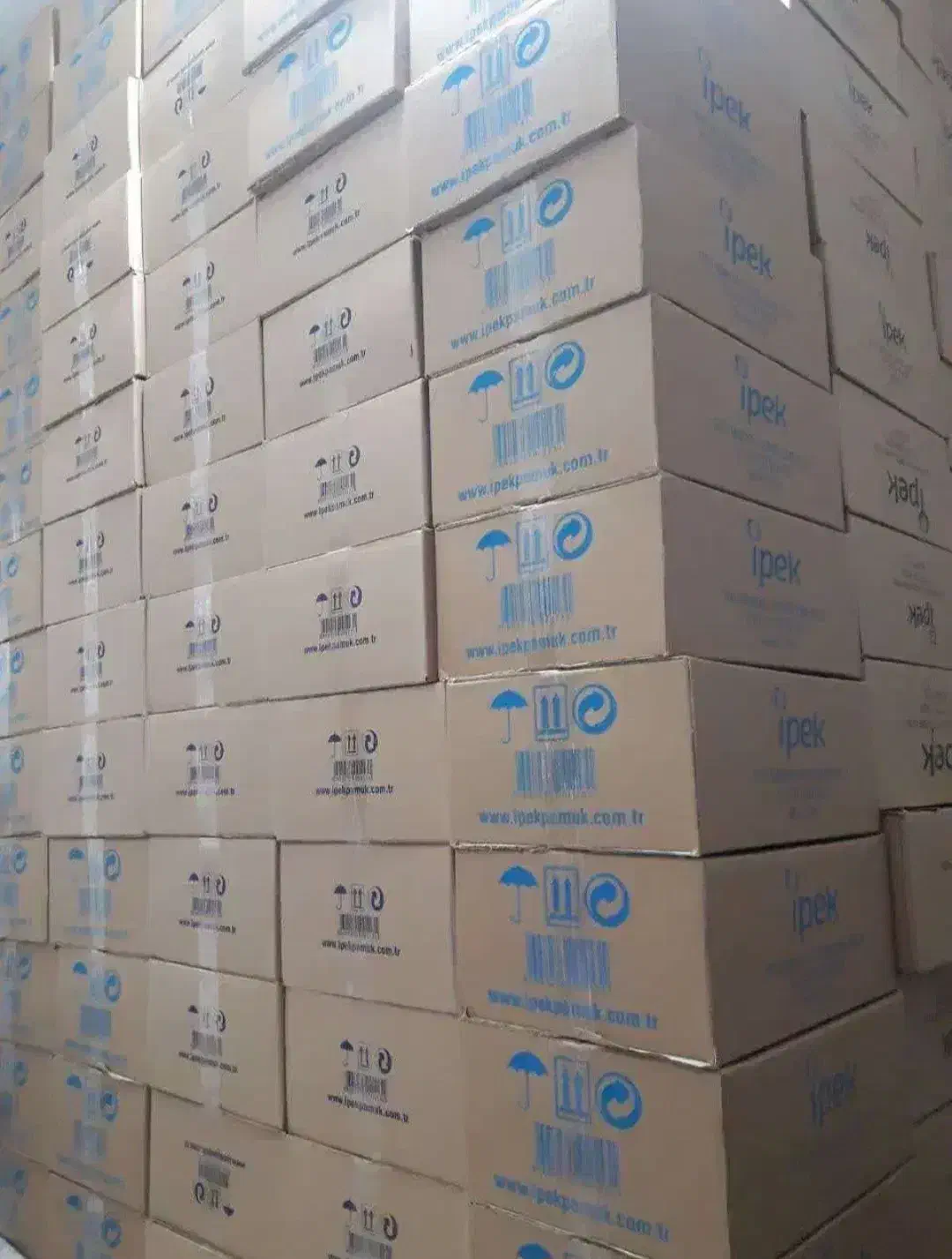 پد ایپک|آرایشی، بهداشتی، درمانی|تهران, بازار|دیوار