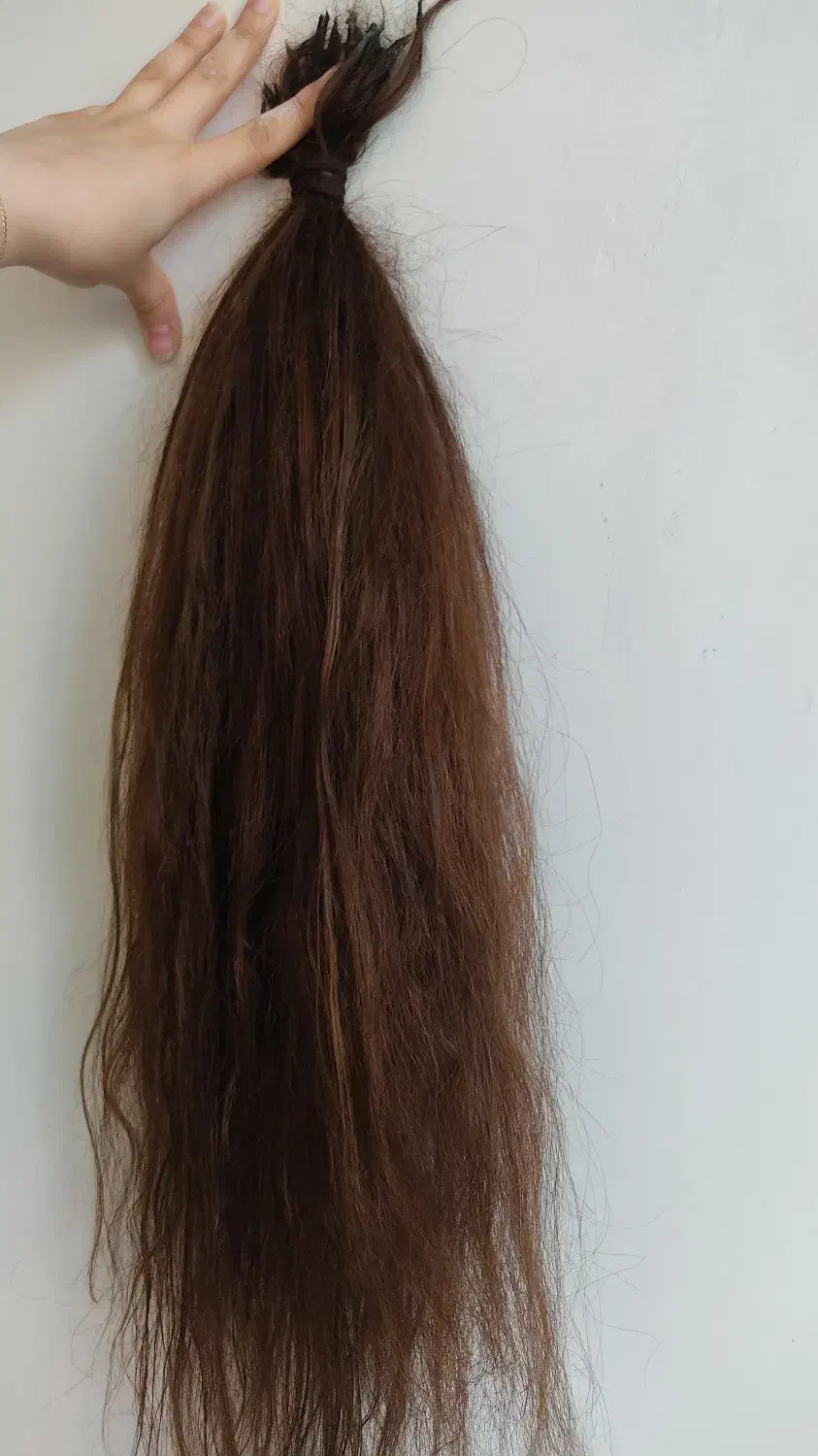 موی طبیعی رنگ خرمایی ۷۵سانت|آرایشی، بهداشتی، درمانی|طارم (زنجان), |دیوار