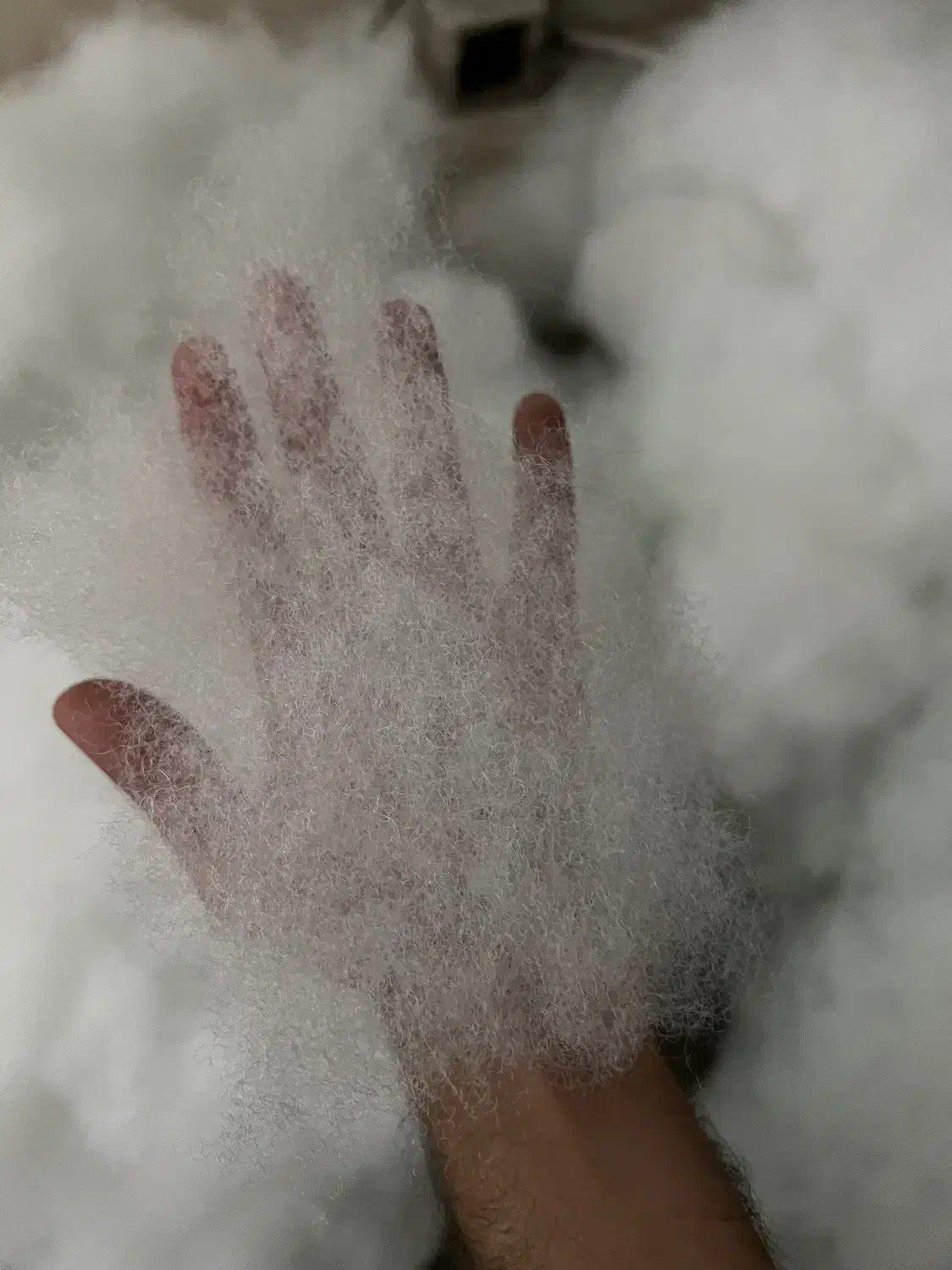 فروش الیاف هالو سوپر ویژه بدون ریزش|رختخواب، بالش، پتو|شیراز, بازار|دیوار