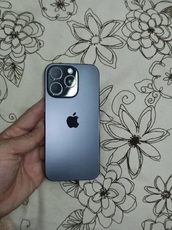 16pro 256 (zaa)|موبایل|بوشهر, |دیوار