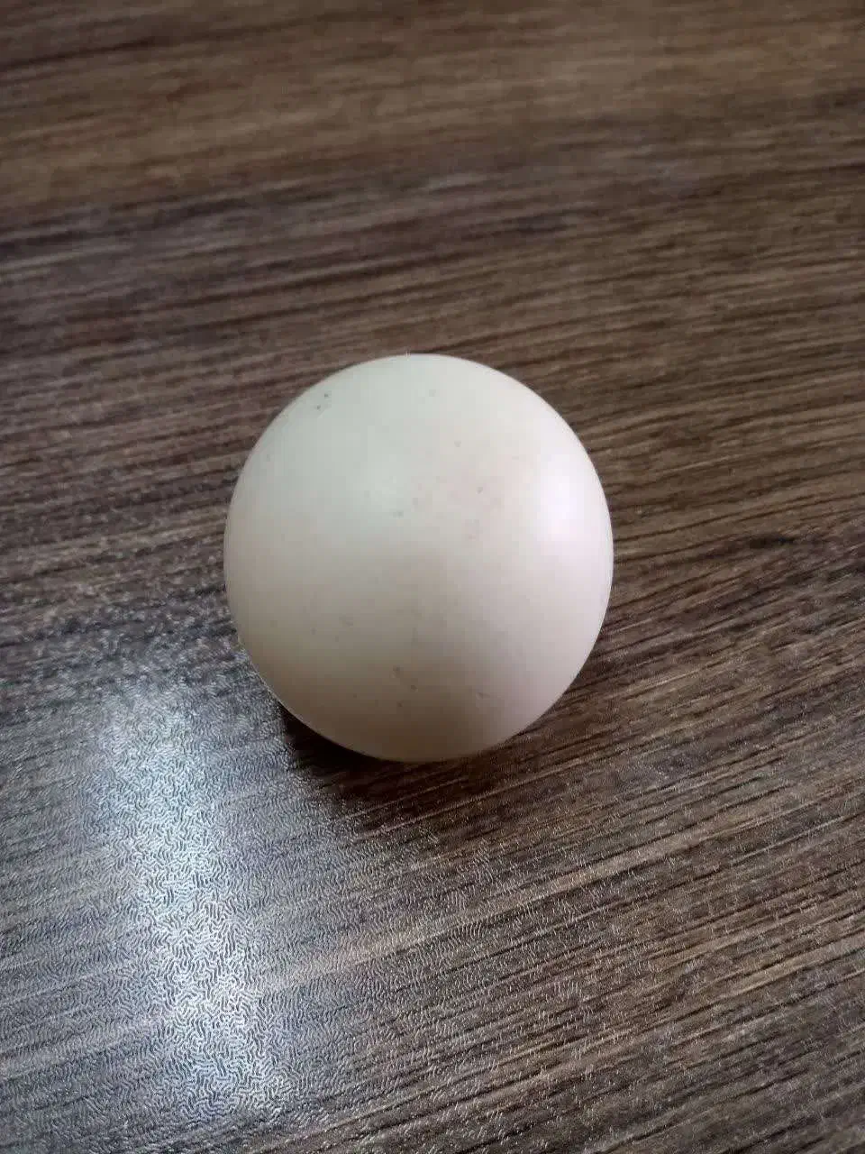 فروش فوری سنگ آسیاب|کلکسیون اشیاء عتیقه|سبزوار, پیام|دیوار