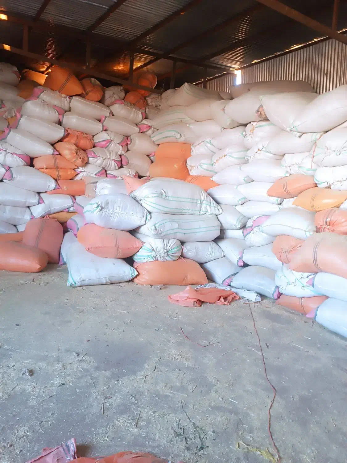 کاه گندم|حیوانات مزرعه|میان جلگه, |دیوار