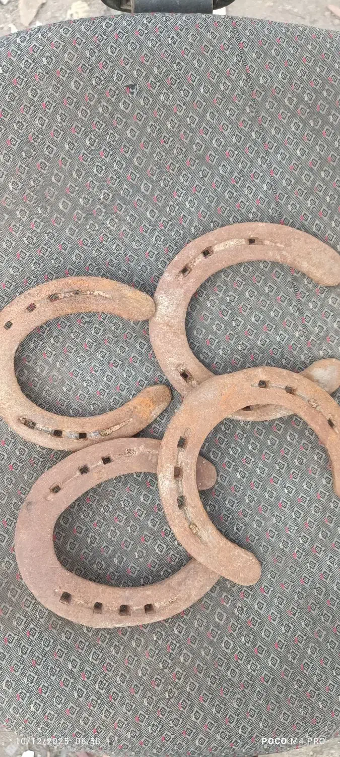 نعل اسب|اسب و تجهیزات اسبسواری|رفسنجان, |دیوار