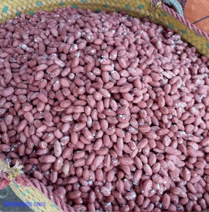 بادام زمینی امساله بسیار باکیفیت دو الکه|خوردنی و آشامیدنی|قم, جهان بینی|دیوار