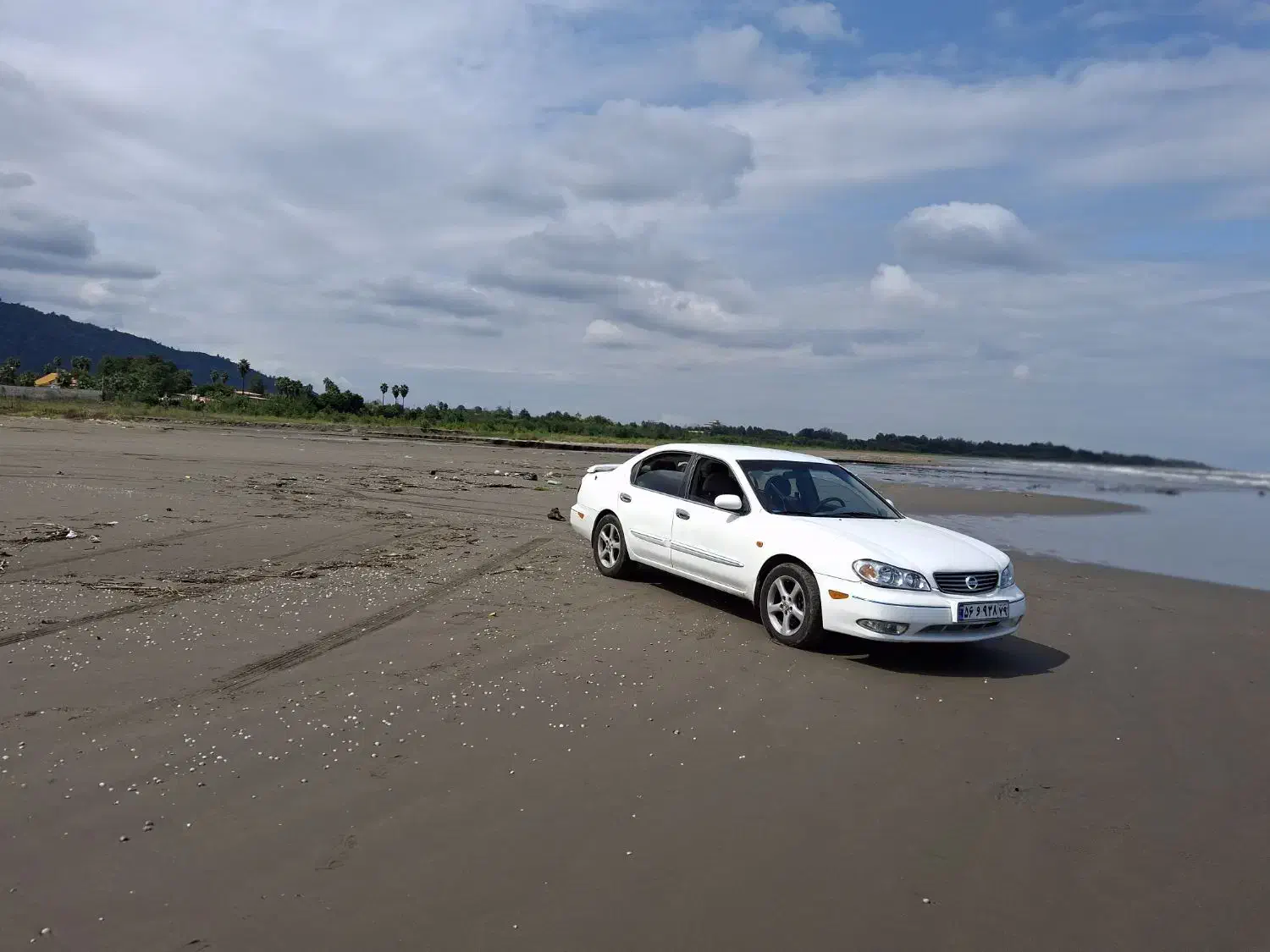 ماکسیما ۸۱ سفید|خودرو سواری و وانت|تهران, شیخ هادی|دیوار