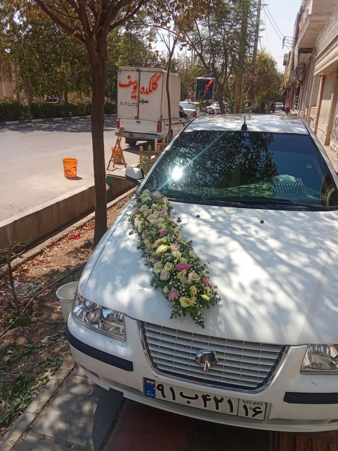 گل رزباکس آماده طبیعی|گل و گیاه طبیعی|قم, در بهشت|دیوار