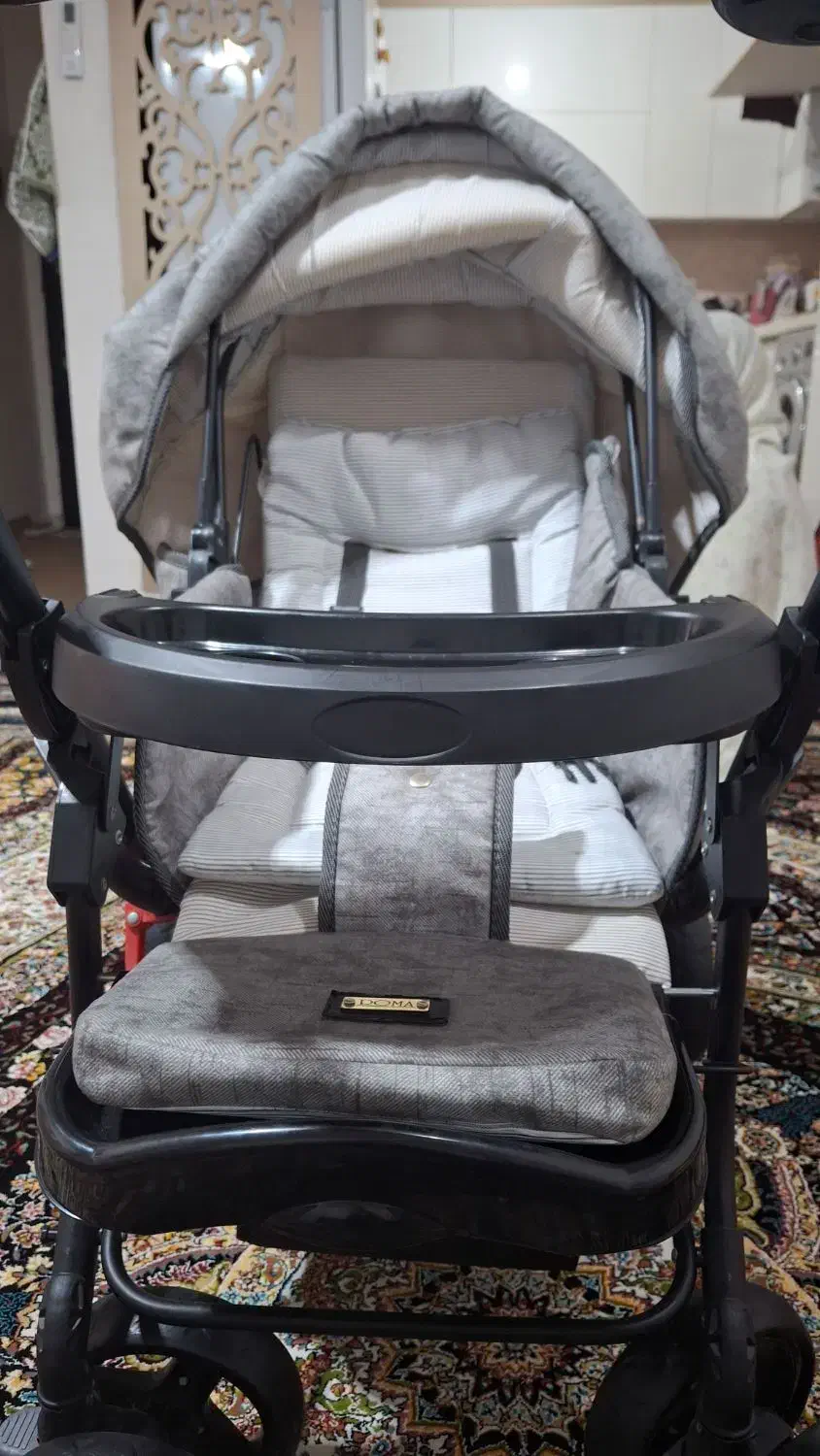 کالسکه دلیجان|کالسکه و لوازم جانبی|بندرعباس, |دیوار