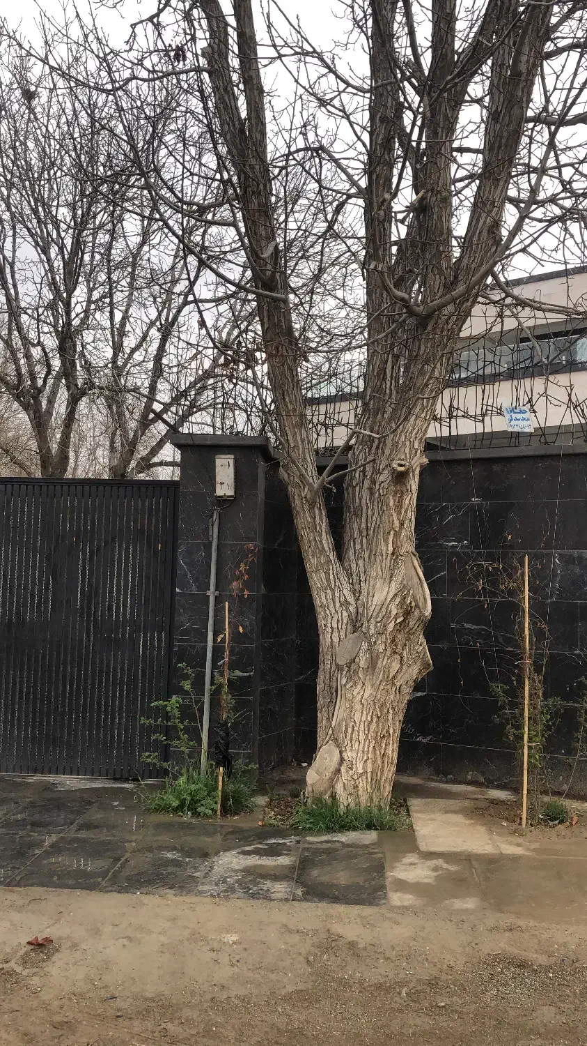 خانه دو طبقه کلنگی ۴۴متر امکان تجمیع انبار نفت|فروش زمین و ملک کلنگی|تهران, انبار نفت|دیوار