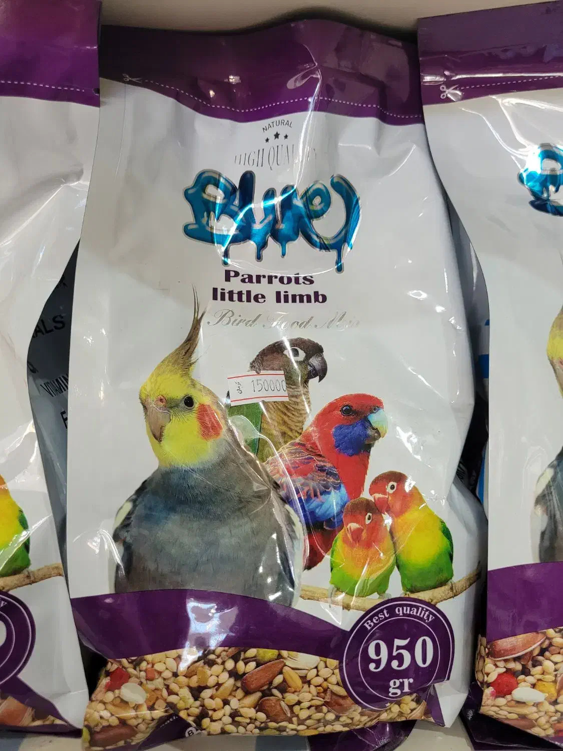 دان عروس هلندی،طوطی برزیلی،مرغ مینا،قناری،مرغ عشق|لوازم جانبی حیوانات|ارومیه, |دیوار