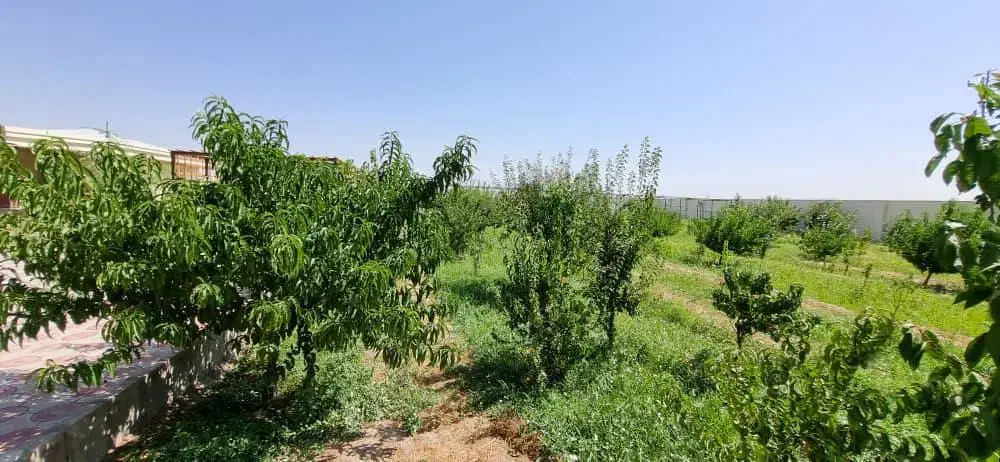 ویلای تکمیل و خاص در صوفیان|فروش خانه و ویلا|صوفیان, |دیوار