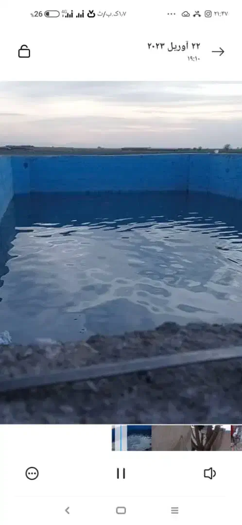 باغ پسته|فروش زمین و ملک کلنگی|بناب, |دیوار