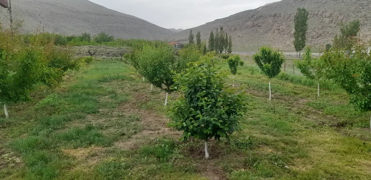 باغ در روستای هندور|فروش خانه و ویلا|ماکو, |دیوار