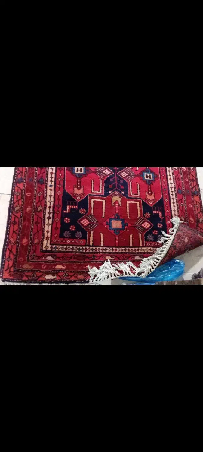 کناره دستباف|فرش|تهران, طیب|دیوار