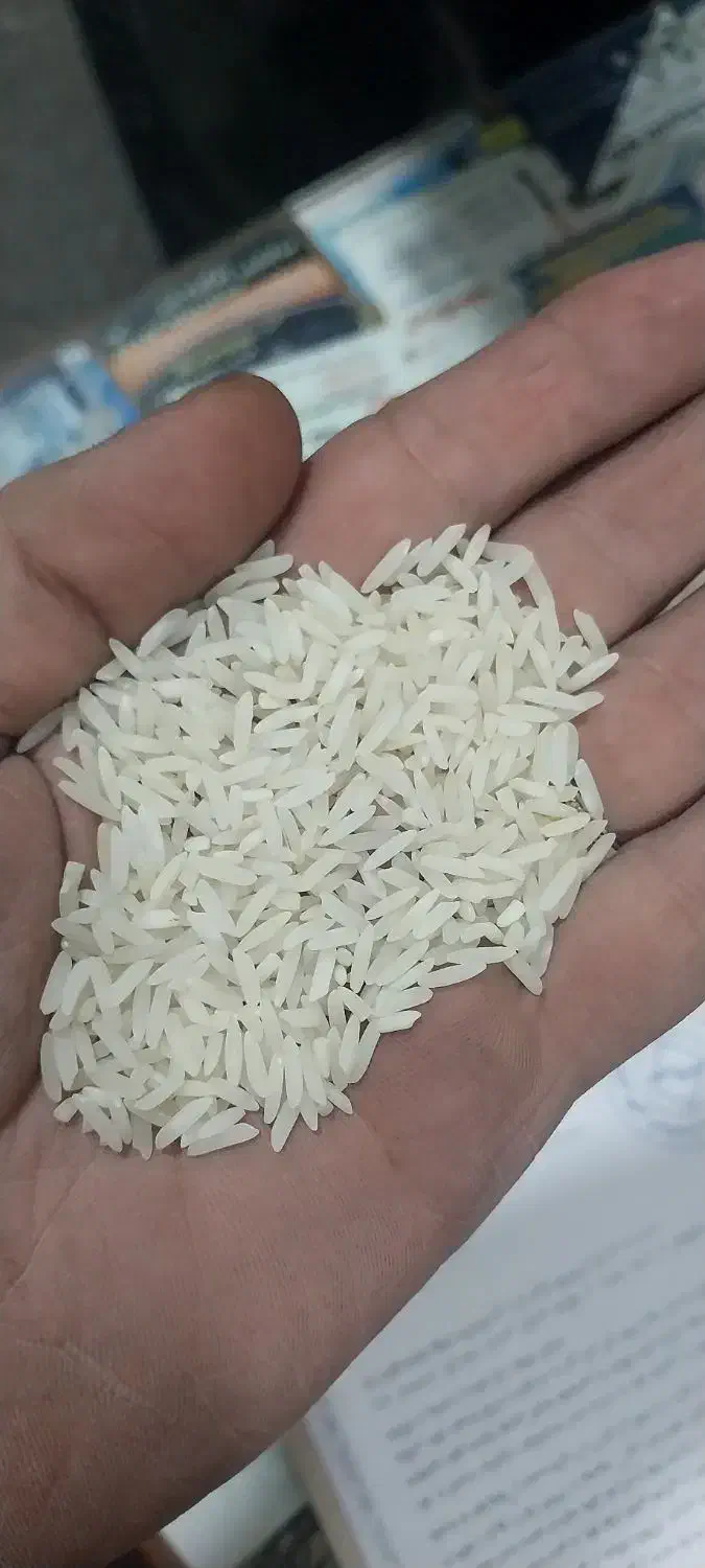 برنج هاشمی ب شرط با ارسال رایگان|خوردنی و آشامیدنی|کرج, گلشهر|دیوار