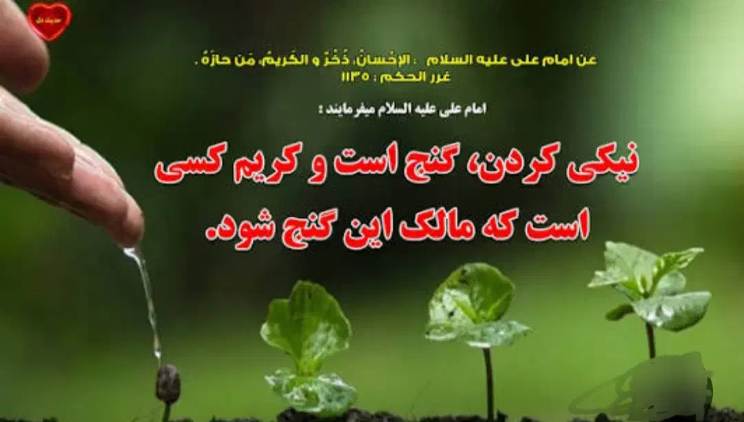 کمک رسانی|فعالیت داوطلبانه|رشت, منظریه|دیوار