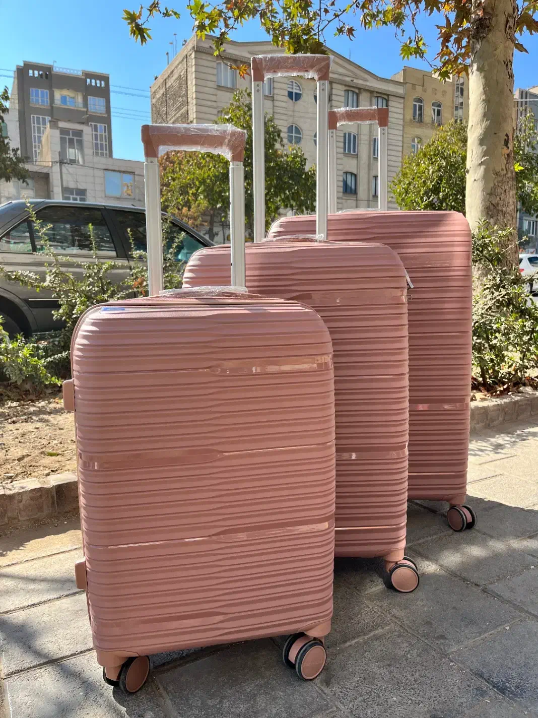 چمدان نشکن|کیف، کفش، کمربند|مشهد, هفت تیر (آب و برق)|دیوار