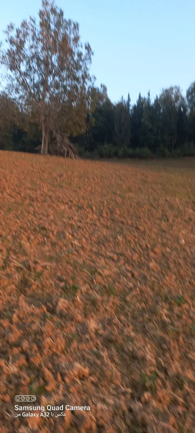 زمین کشاورزی دیم در دامنه کوه|فروش زمین و ملک کلنگی|خان ببین, |دیوار