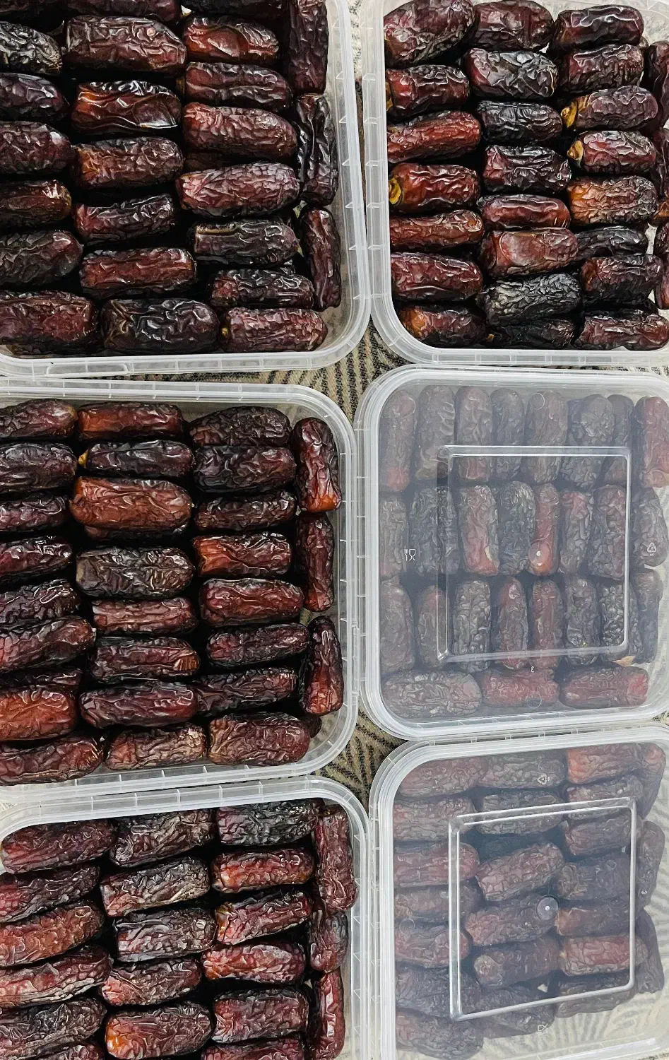 خرما درجه یک|خوردنی و آشامیدنی|اصفهان, دانشگاه اصفهان|دیوار