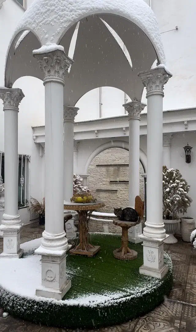 آلاچیق،آبنما،راهرو ورودی|مصالح و تجهیزات ساختمان|مشهد, هنرستان|دیوار