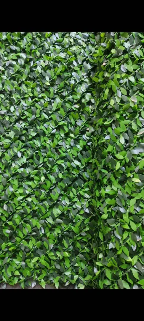 توزیع انواع چمن، فنس،سنگ رودخانه|عمده‌فروشی|رشت, معلولین|دیوار