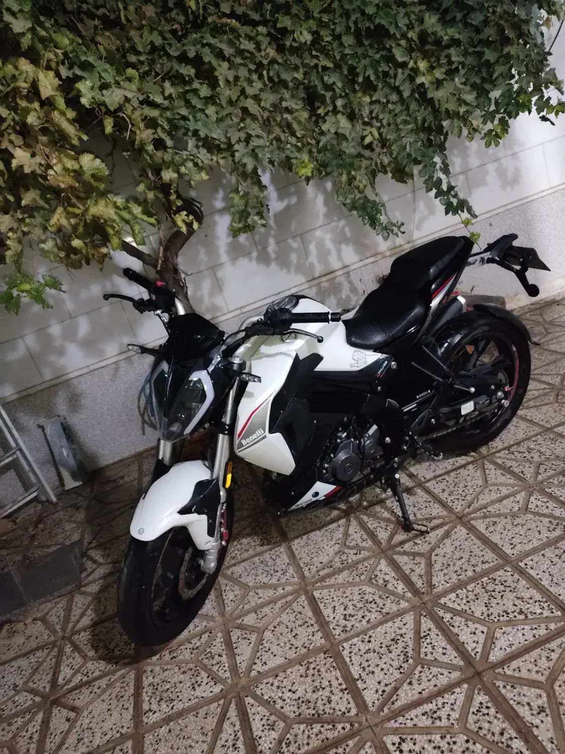 موتور بنلی ۱۸۰ s|موتورسیکلت|تربت‌حیدریه, حاجی یار‎|دیوار