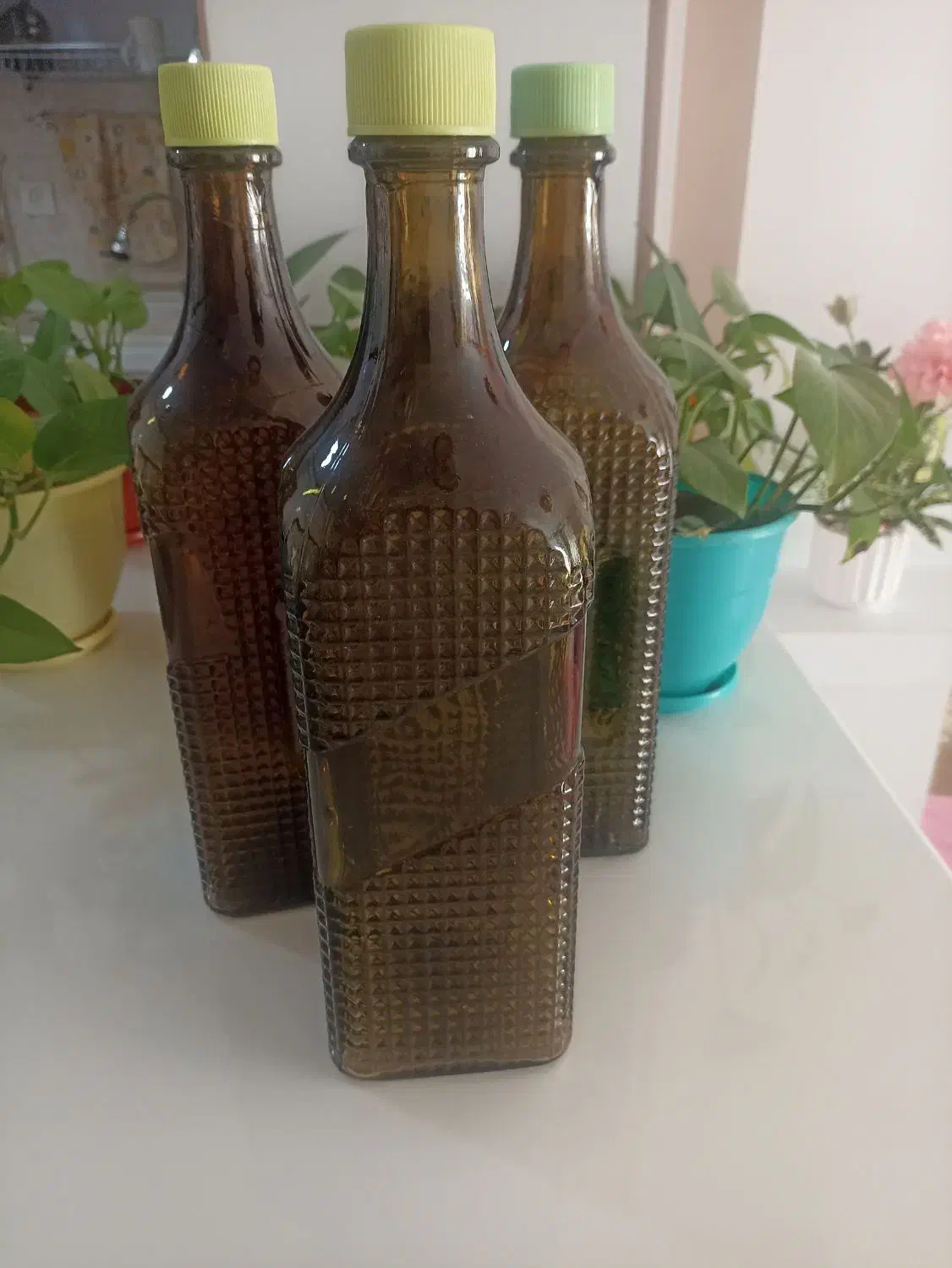 بطری شیشه ای|ظروف نگهدارنده، پلاستیکی، یک‌بارمصرف|کرمان, |دیوار