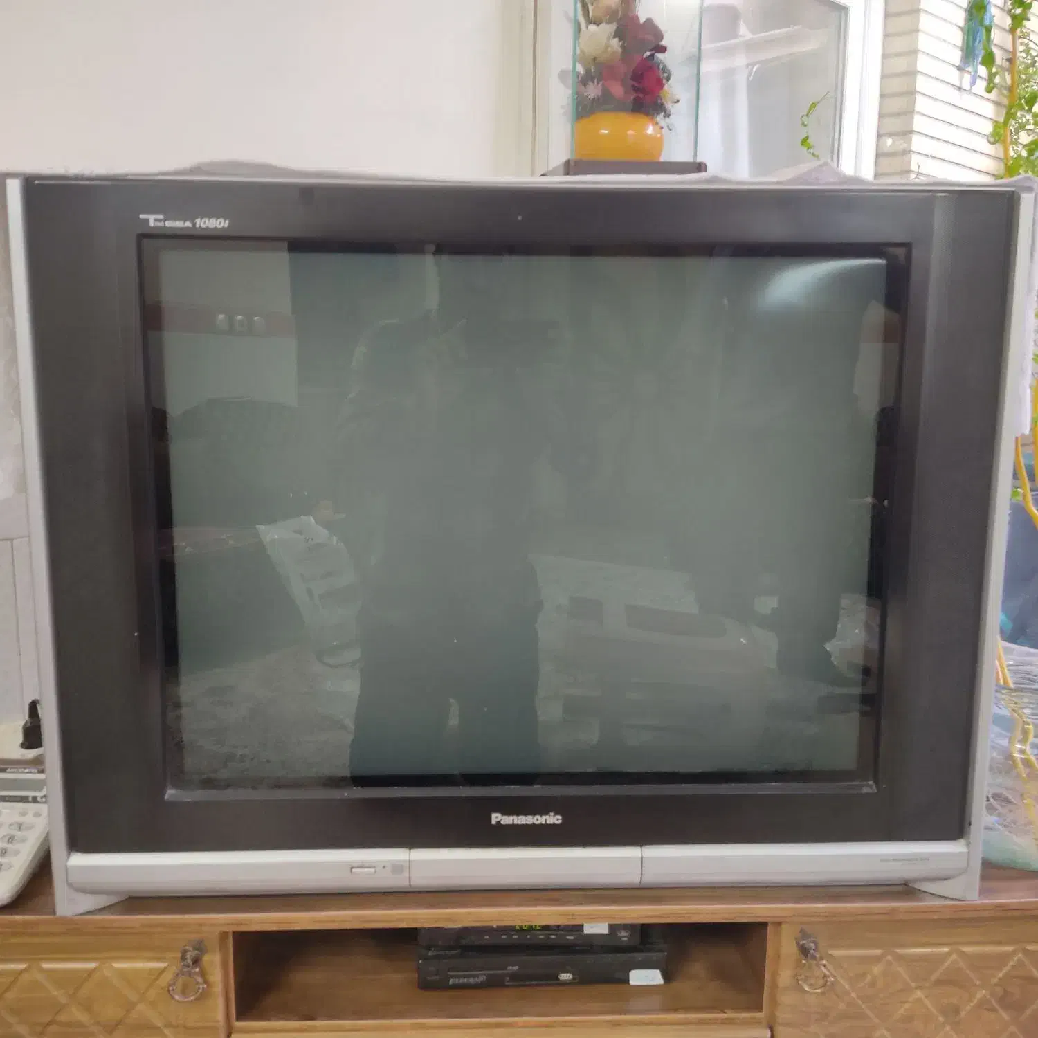 تلویزیون پاناسونیک|تلویزیون و پروژکتور|اصفهان, باغ فردوس|دیوار