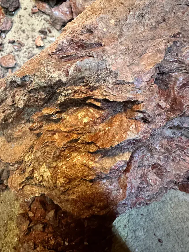 راهنمایی برای سنگ|فعالیت داوطلبانه تحقیقاتی|مشهد, احمدآباد|دیوار