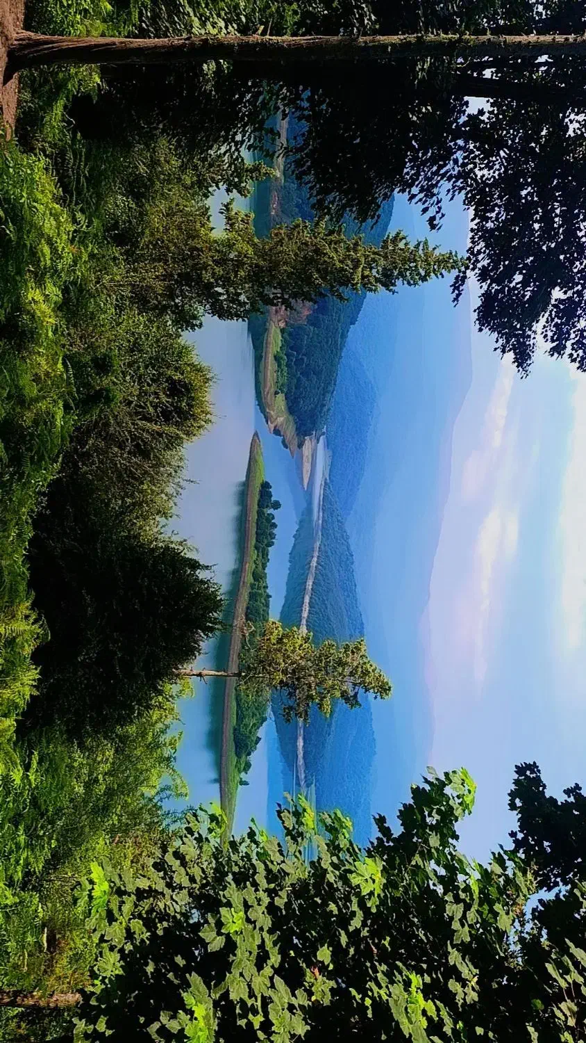 نیازمند کار|فعالیت داوطلبانه|بجنورد, |دیوار