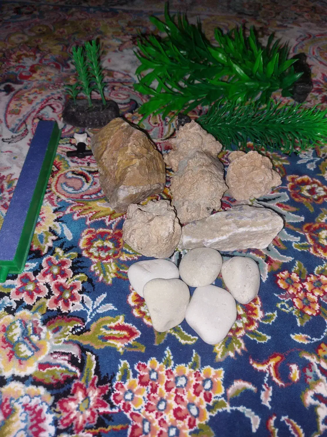 وسایل آکواریوم|ماهی|الوند, |دیوار