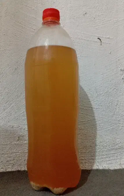 آبغوره محلی|خوردنی و آشامیدنی|داراب, |دیوار