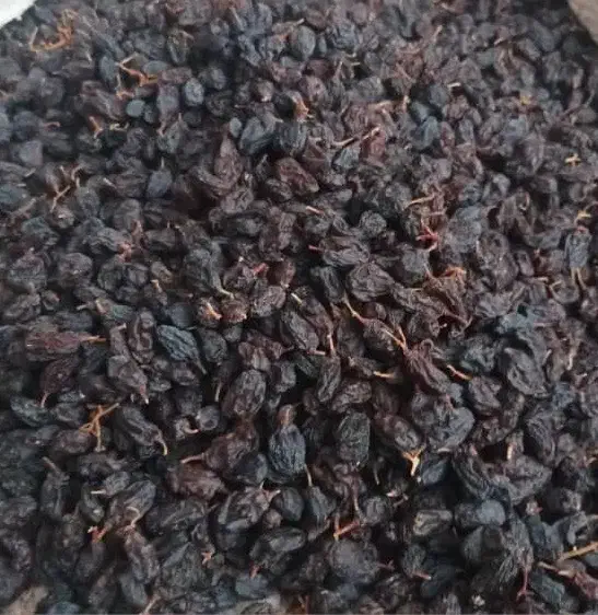 مویز سیاه بش دشمن زیاری|خوردنی و آشامیدنی|شیراز, ریشمک|دیوار