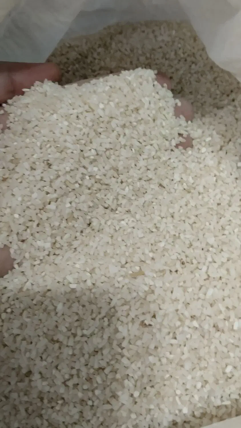 برنج نیم دانه هاشمی و لاشه هاشمی|خوردنی و آشامیدنی|رشت, جانبازان|دیوار