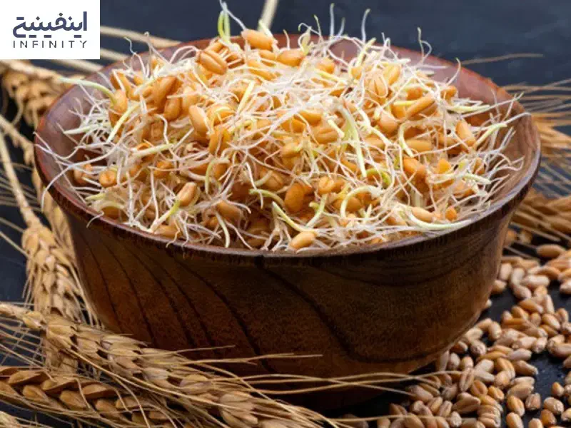 جوانه گندم و انواع آردیجات|خوردنی و آشامیدنی|حبیب آباد, |دیوار