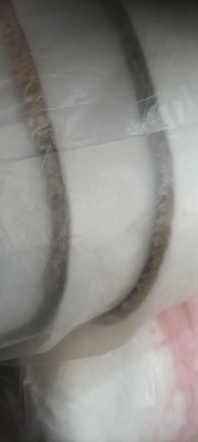 موکت پالاز مصور|موکت|کرج, حیدرآباد|دیوار