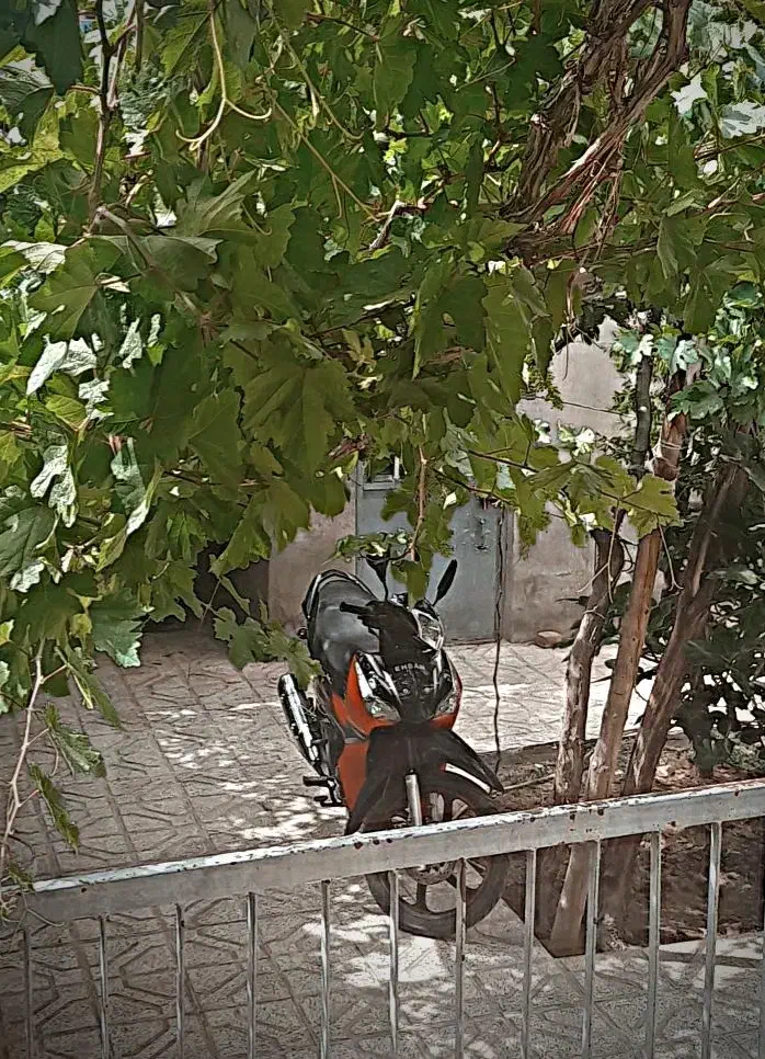 طرح ویو احسان کم کار|موتورسیکلت|بیرجند, |دیوار