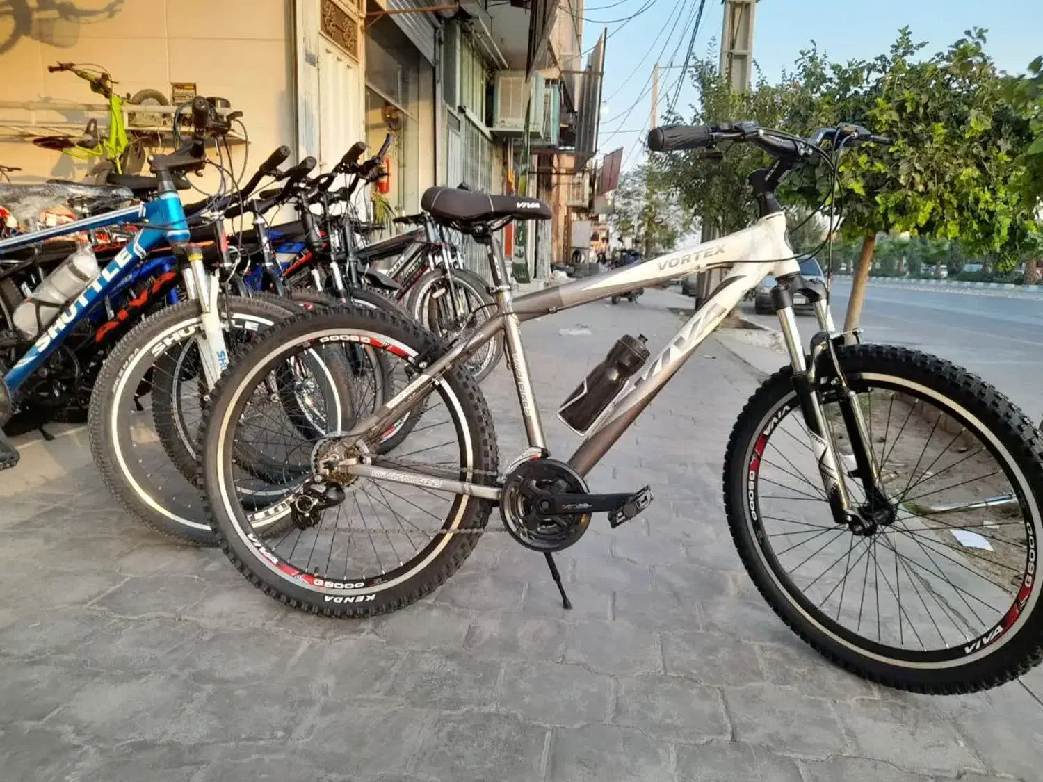 دوچــرخه ۲۶  حرفه ای   کوهستان   ویوا   اصل|دوچرخه، اسکیت، اسکوتر|یزد, |دیوار