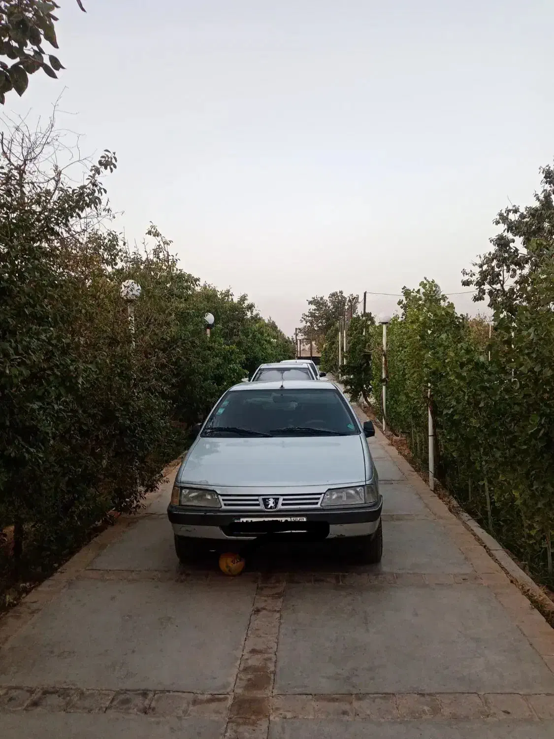 ماشین دربستی داخل شهر بیرون شهر|خدمات حمل و نقل|سبزوار, پیروزی|دیوار