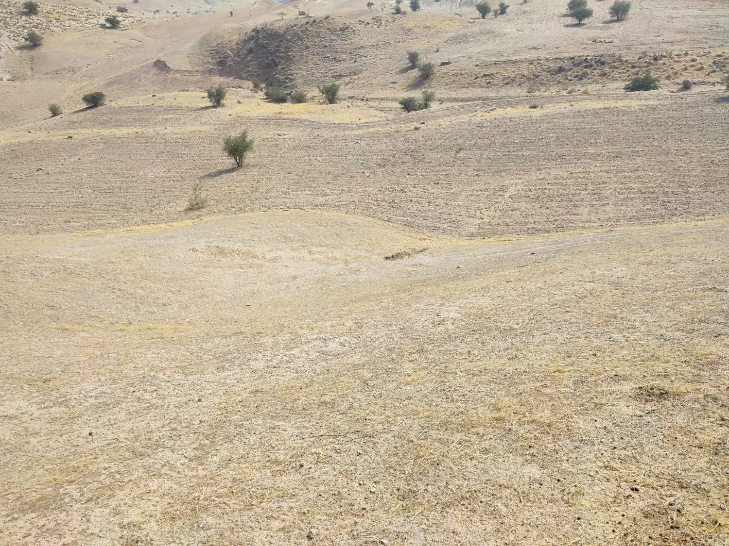 زمین کشاورزی|فروش دفتر صنعتی، کشاورزی، تجاری|خشت, |دیوار