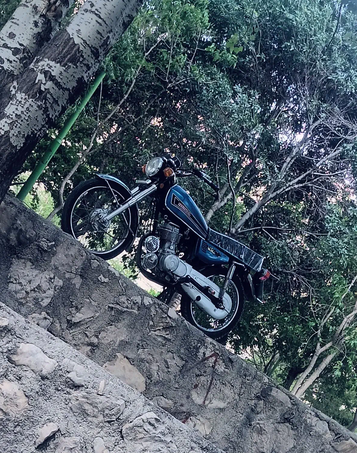 هوندا 87|موتورسیکلت|بروجن, |دیوار