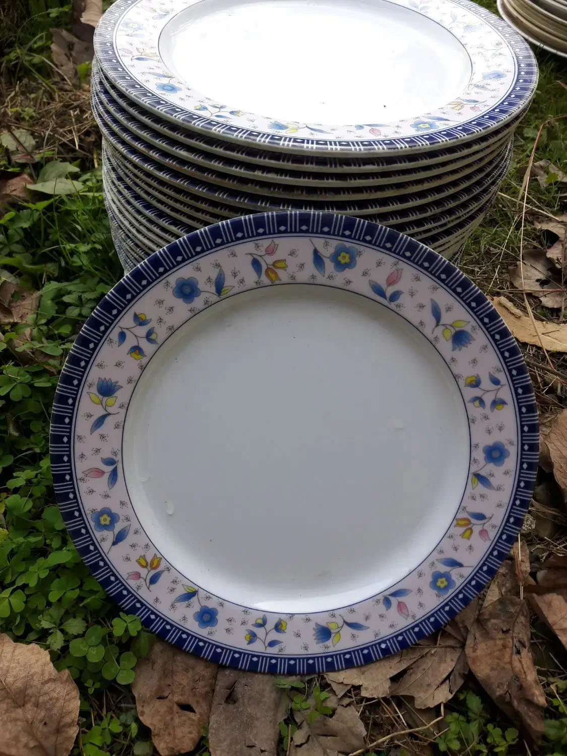 سلام ۲۸ عدد بشقاب گل آبی جدید|ظروف سرو و پذیرایی|ماکلوان, |دیوار