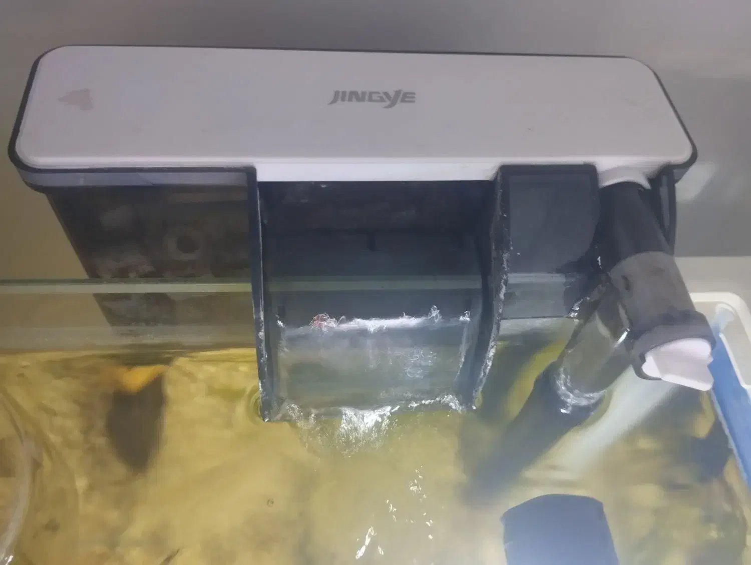 فروش لوازم آکواریوم فایتر نر|ماهی|بوکان, |دیوار