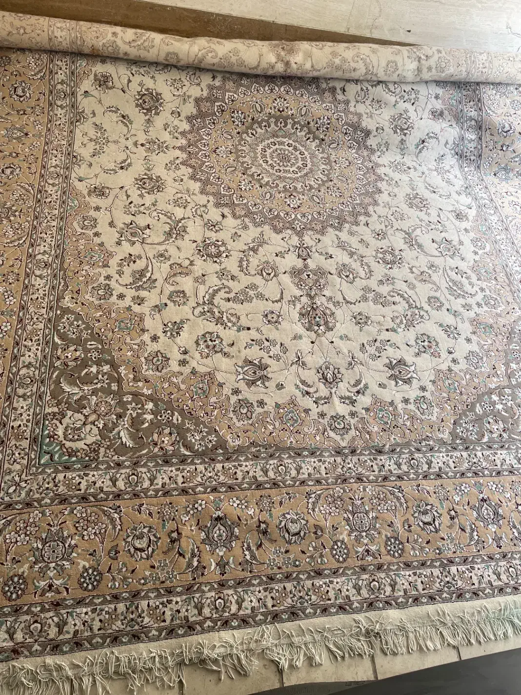 فرش ۱۲ متری|فرش|اصفهان, عسگریه|دیوار
