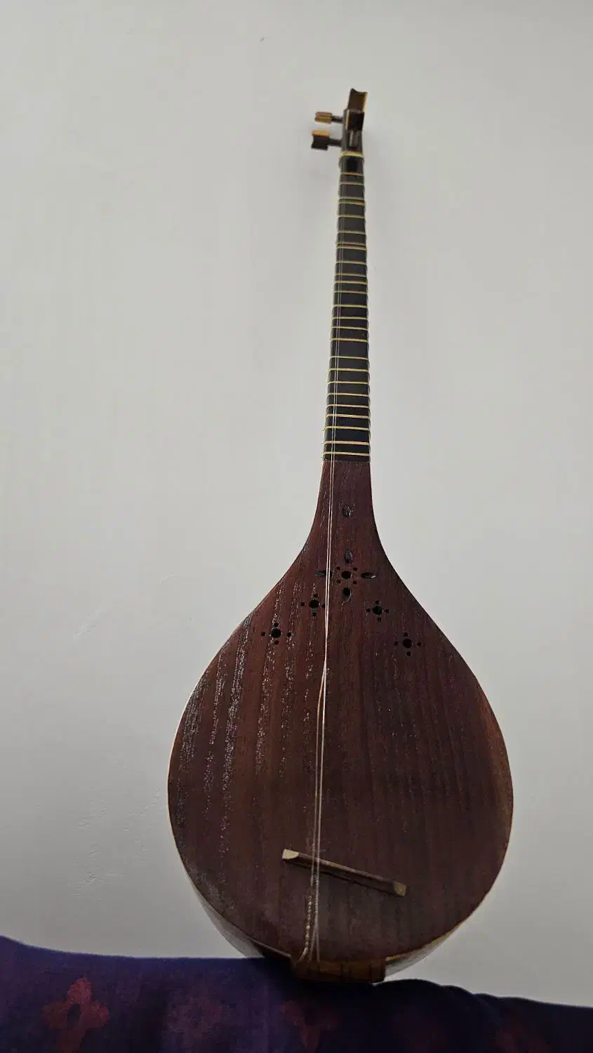 سه تار مفاخری|سازهای سنتی|گرمسار, |دیوار